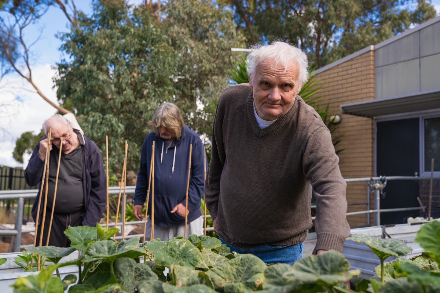 An older gentleman gardening.
