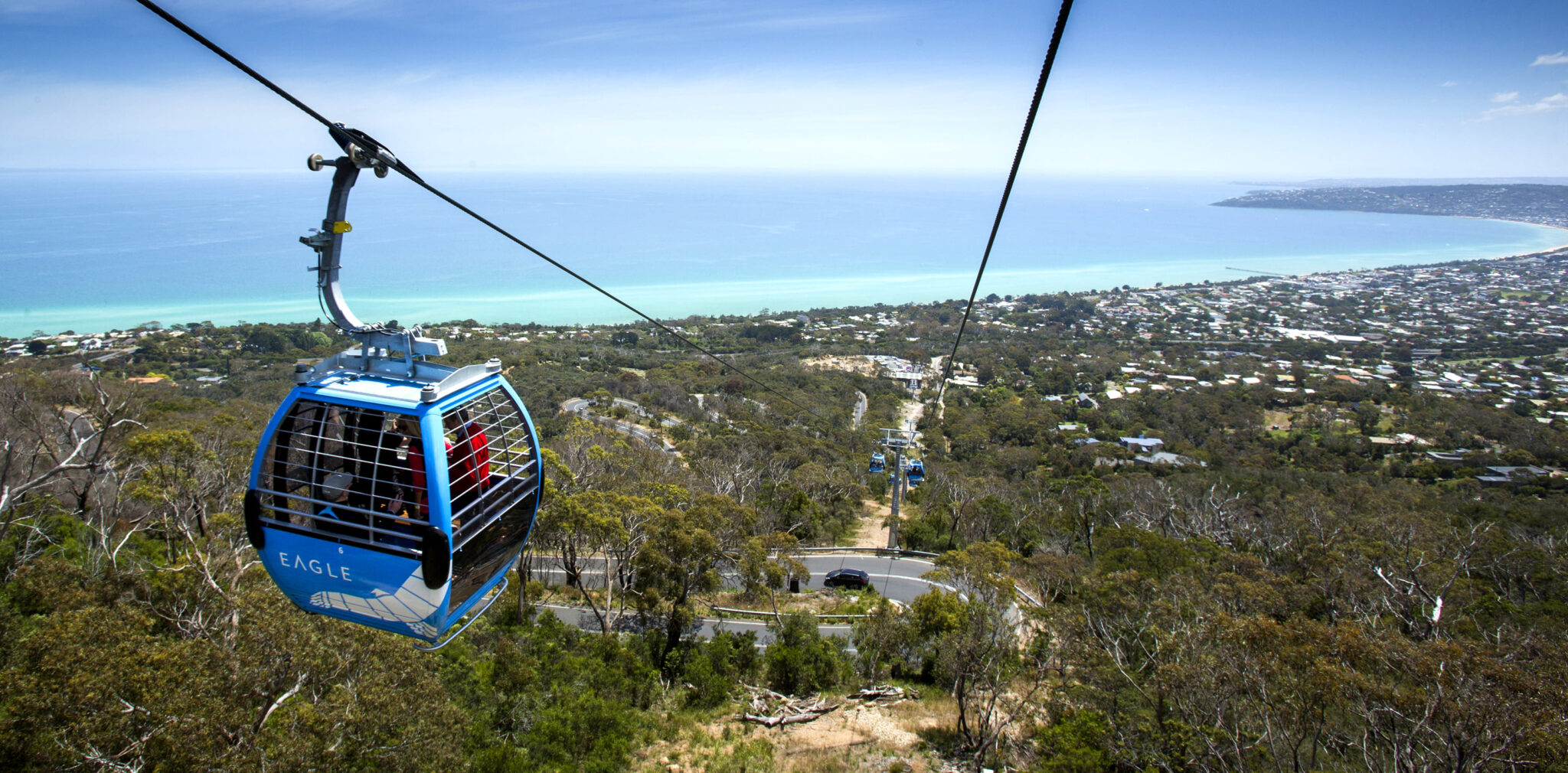 Arthurs Seat Eagle (Dromana) 