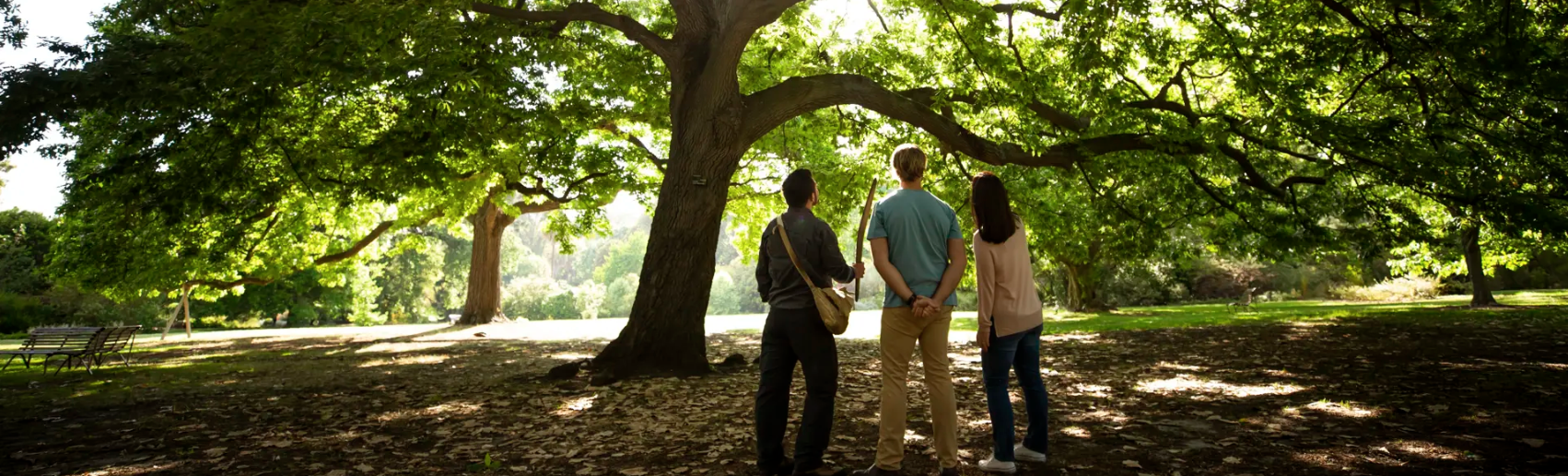 Nature journaling (Olinda) 